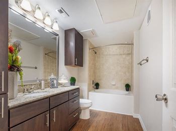 bathroom with garden tub and double vanity